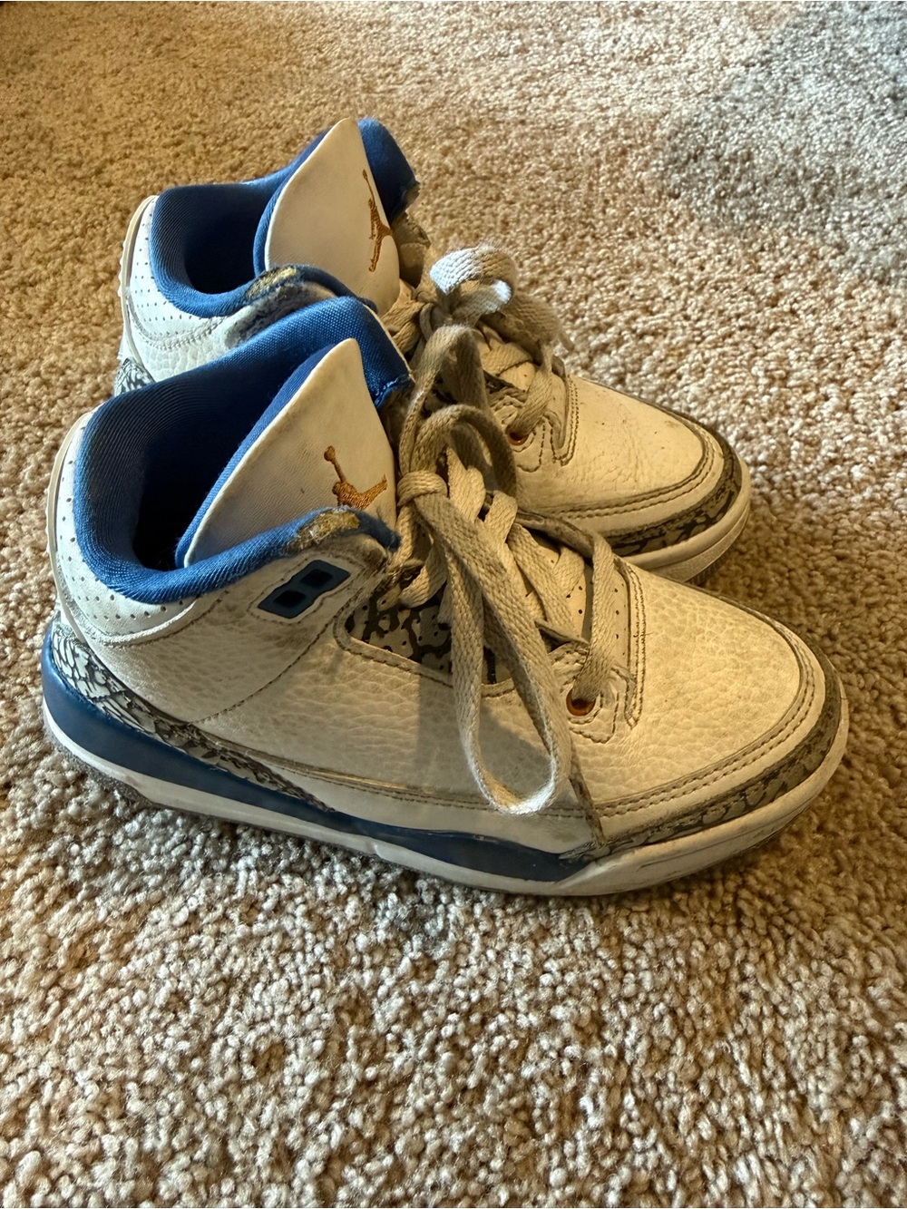 Nike Air Jordan 3 Retro Wizards Athletic Shoes